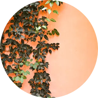 Papel pintado